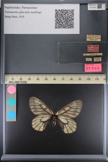 Media type: image;   Entomology 210423